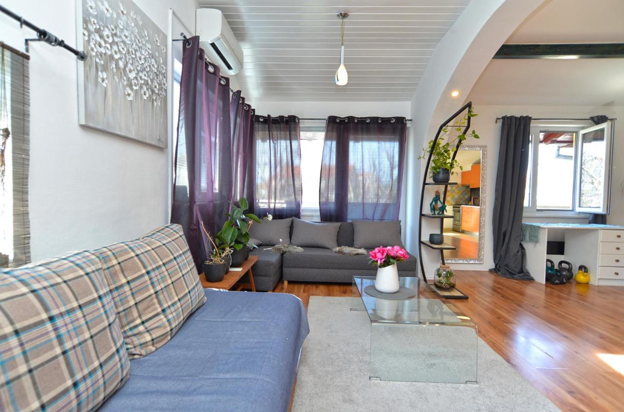 Apartment Sasa 1113 파자나 외부 사진